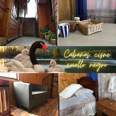 Ferienwohnung Cabanas Cisne Cuello Negro Valdivia Exterior foto